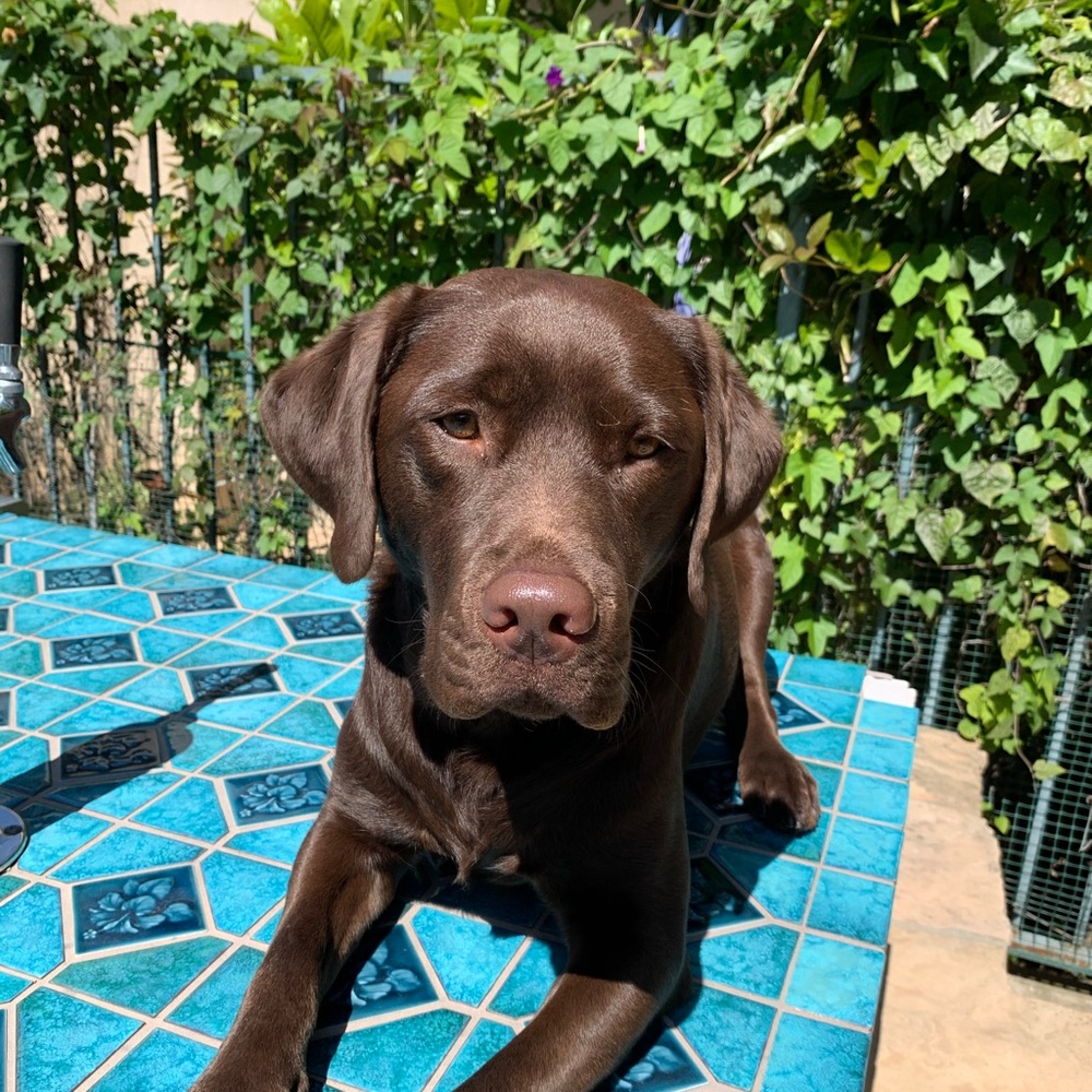 Meet your Posher, Kim